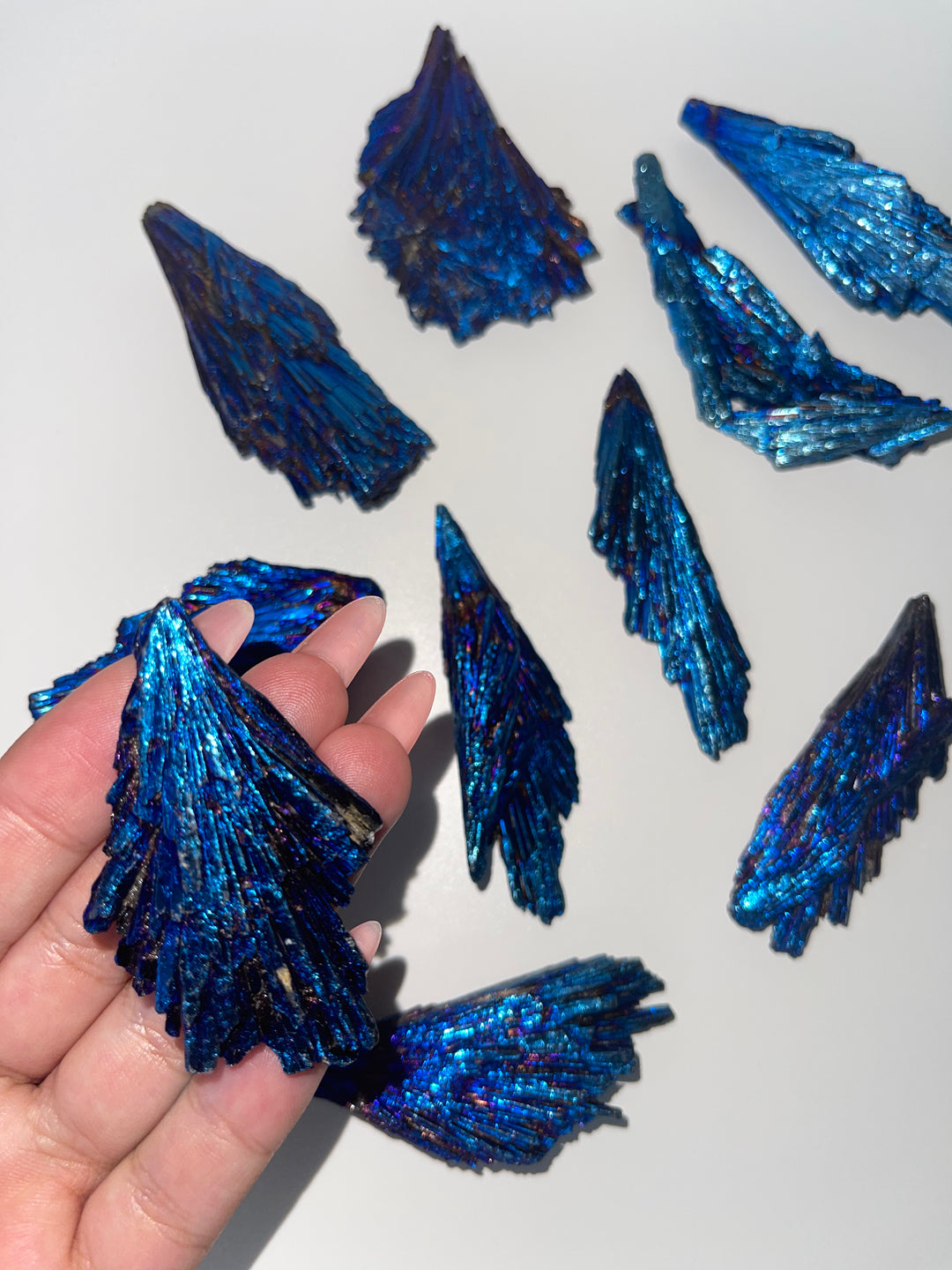 Peacock Kyanite