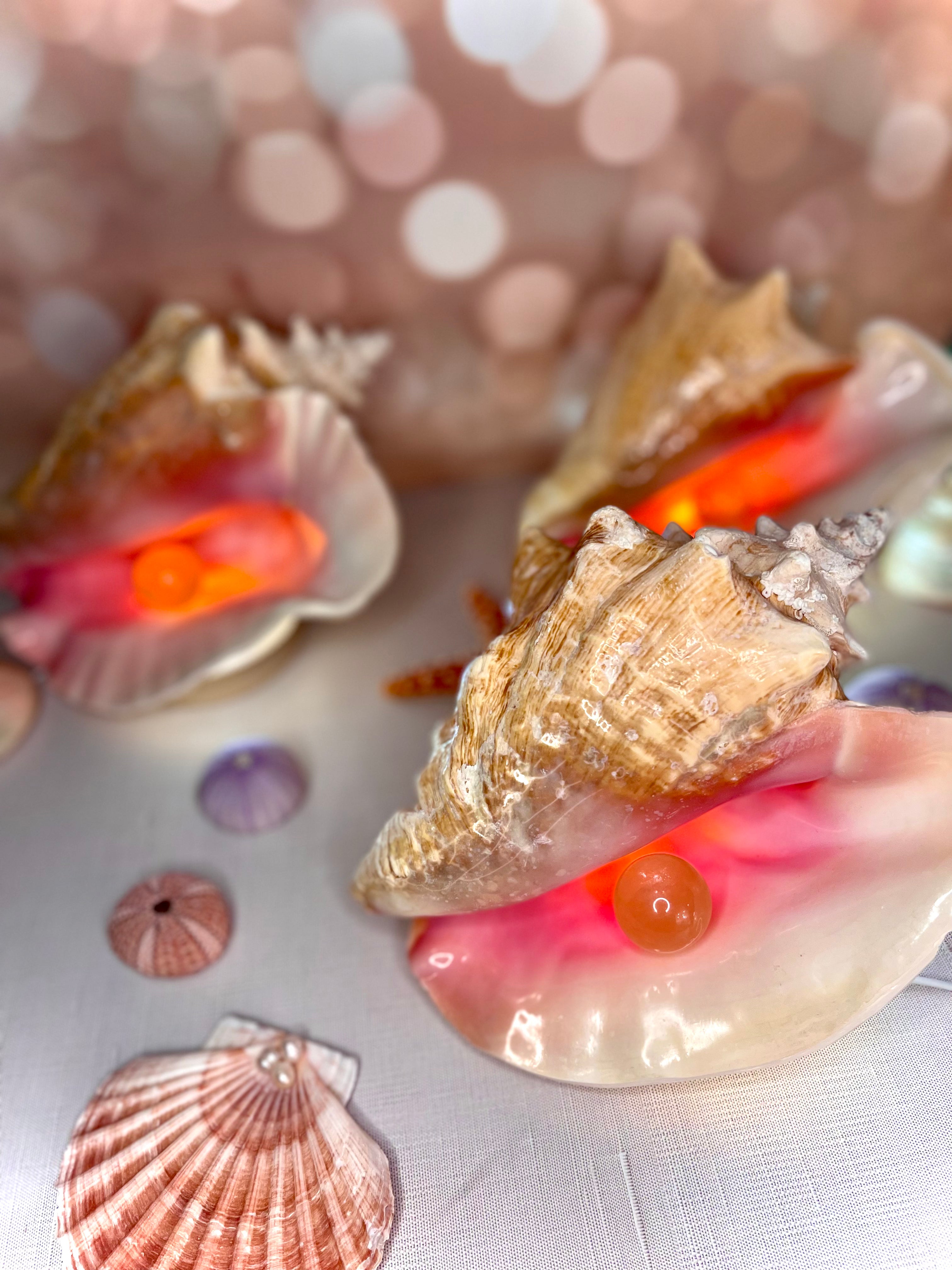 Pink Queen Conch Shell Lamp